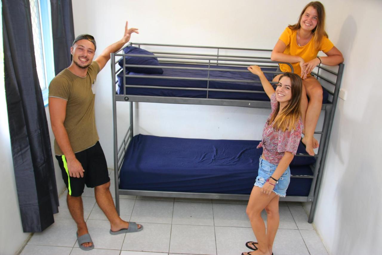 Jungle Hostel Cairns Dış mekan fotoğraf